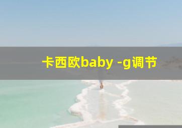 卡西欧baby -g调节